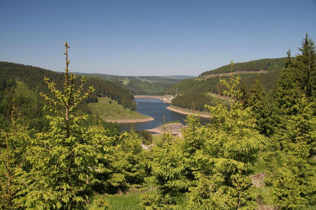 Ferienhaus Waldblick Siegmundsburg Kültér fotó